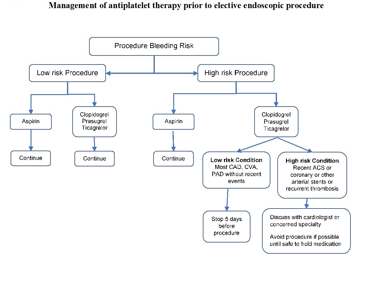 <p>Antiplatelet Therapy Before&nbsp;Elective Endoscopic Procedures