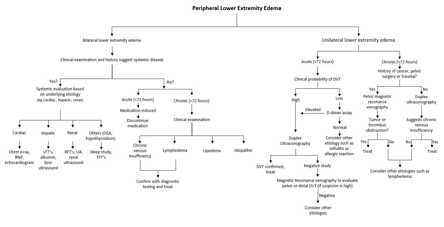 <p>Peripheral Edema&mdash;Differential Diagnosis Algorithm