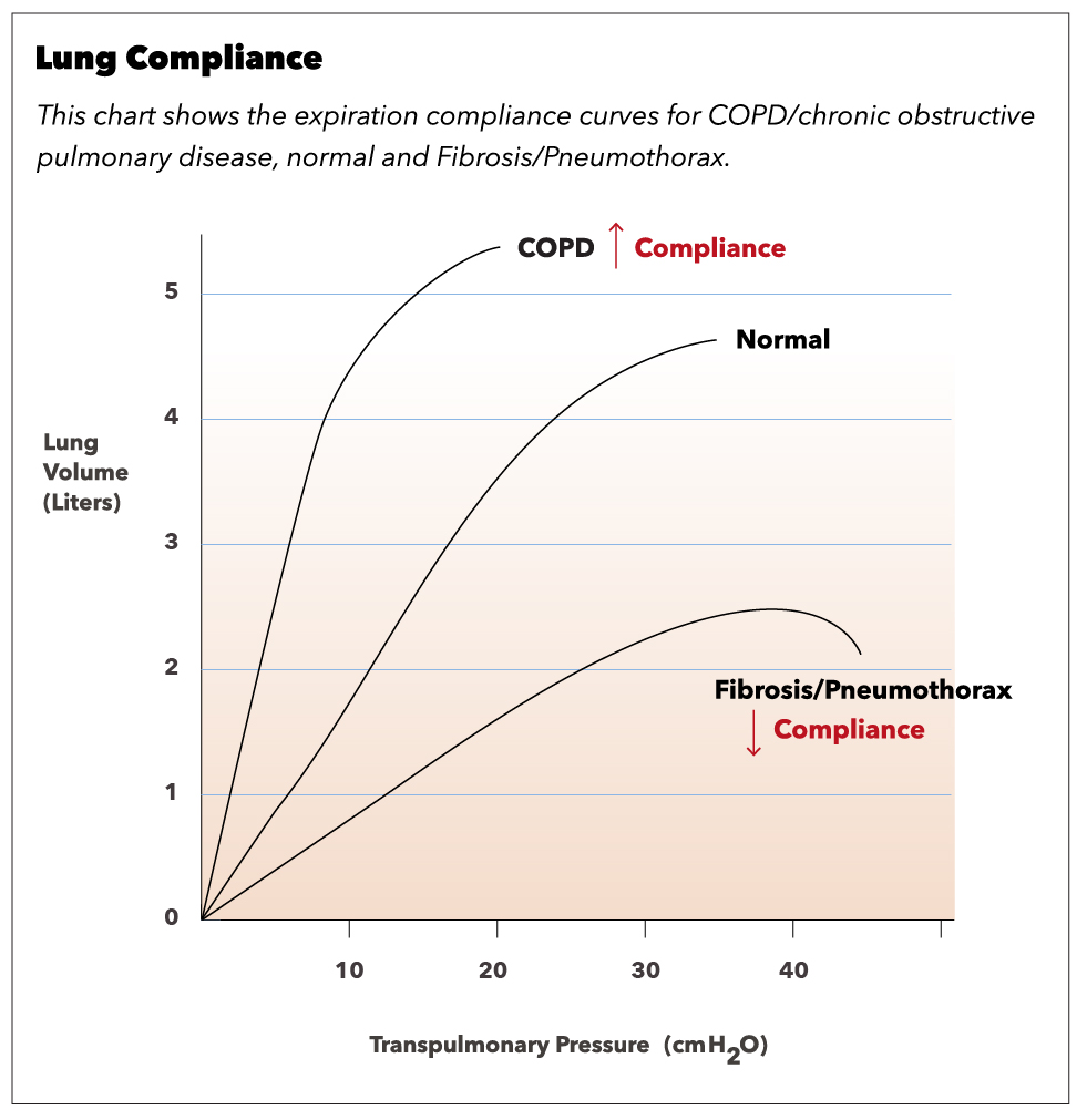 <p>Lung Compliance</p>