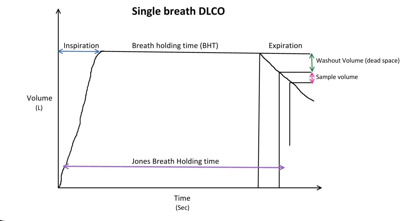 <p>Single-Breath Diffusing Capacity of Carbon Monoxide