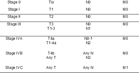 <p>Hypopharyngeal Cancer Staging