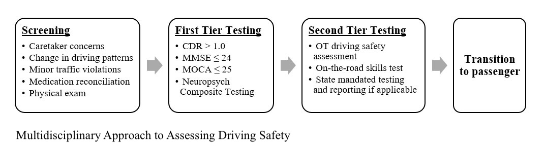 <p>Multidisciplinary Approach to Driving Evaluation</p>