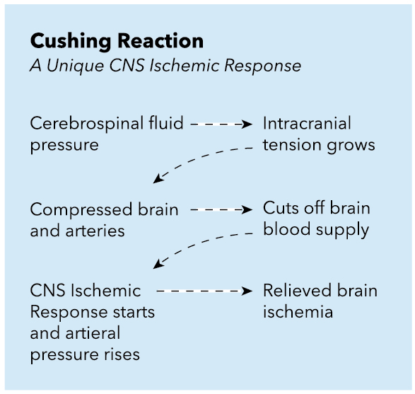 <p>Cushing Reaction, CNS Ischemic Response.</p>
