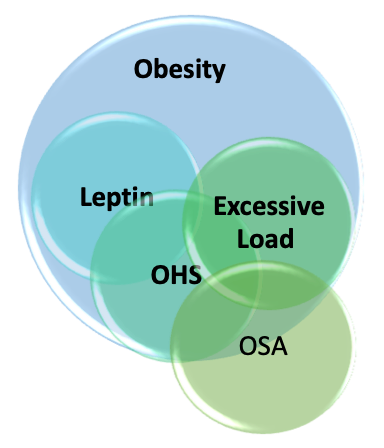 <p>Key Contributing Factors in Obesity Hypoventilation Syndrome