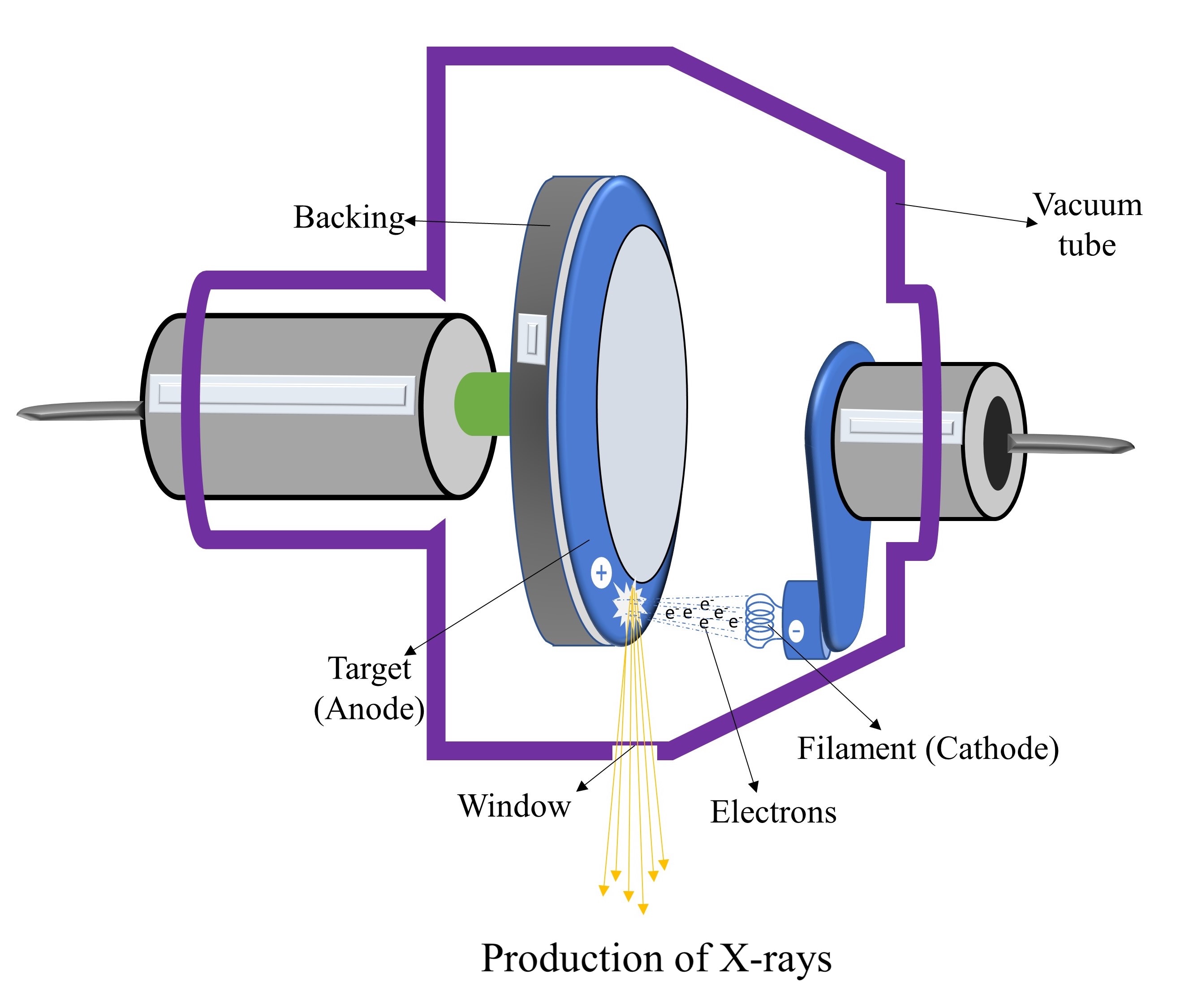 <p>Production of X-rays