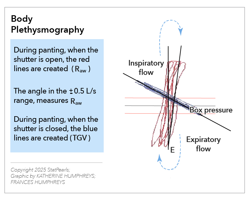 <p>Body Plethysmography