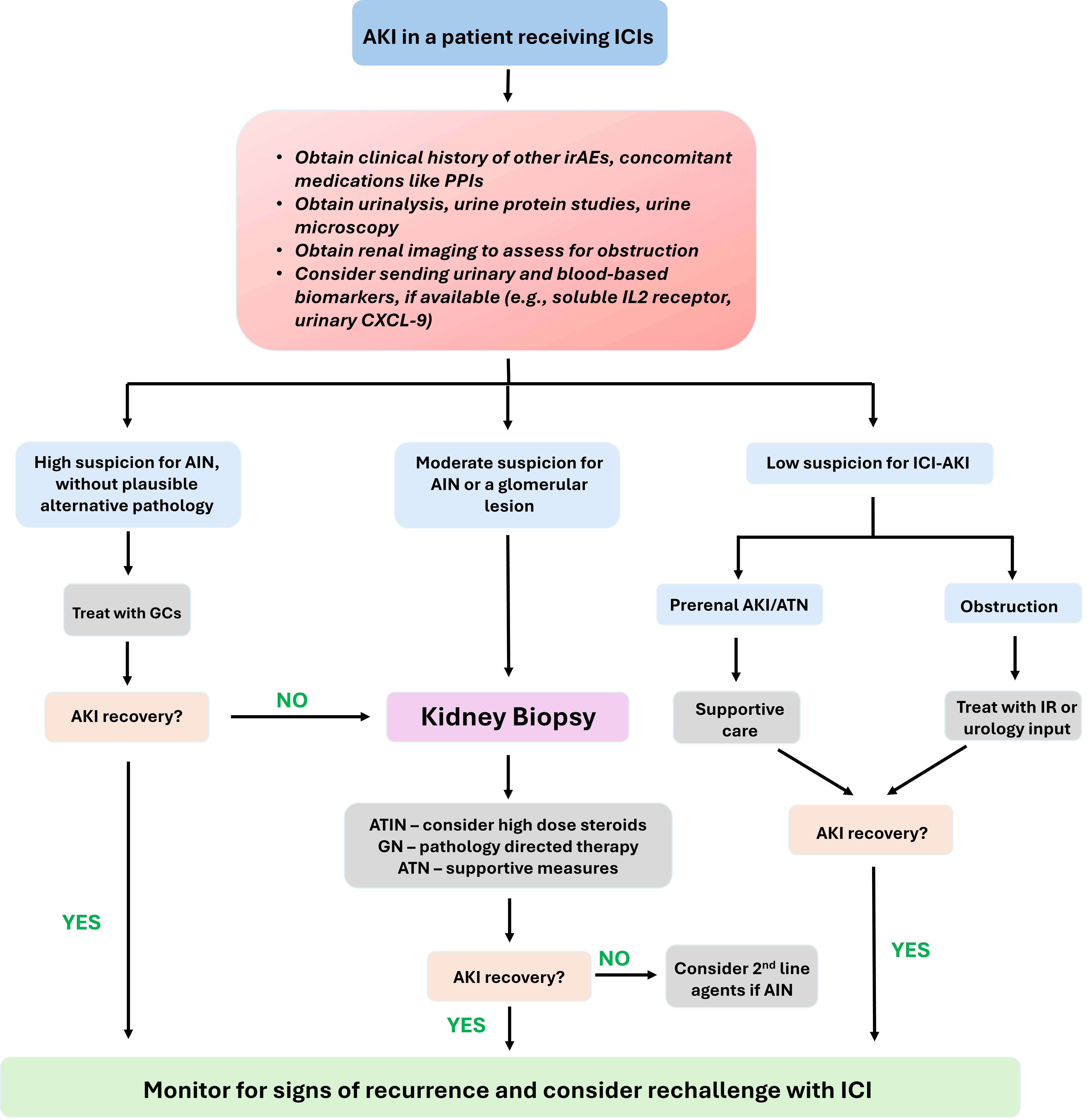 <p>Algorithm for Evaluating and Managing Suspected Immune Checkpoint Inhibitor&ndash;Associated Acute Kidney Injury