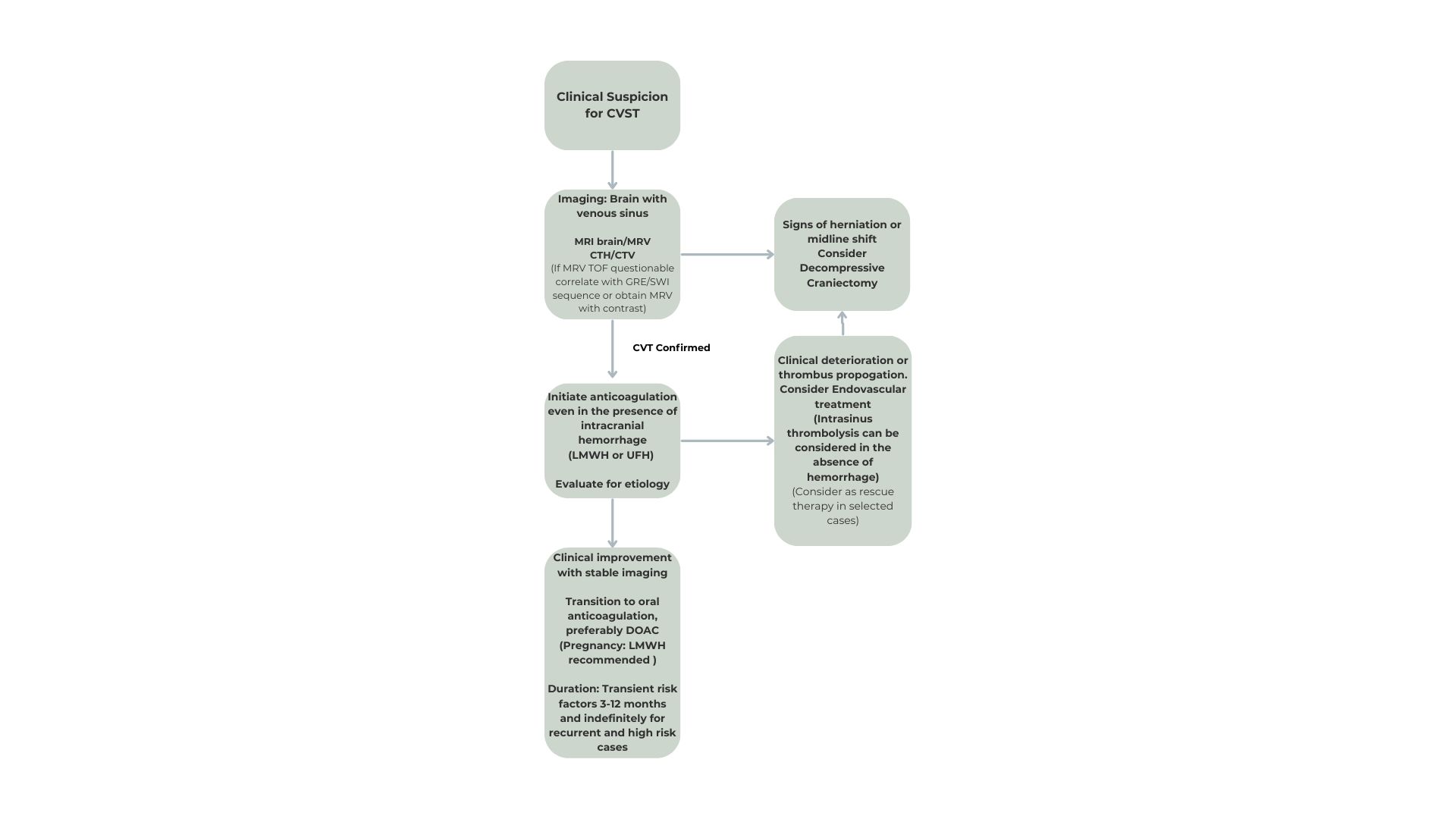 <p>Management and Treatment of Cerebral Venous Sinus Thrombosis