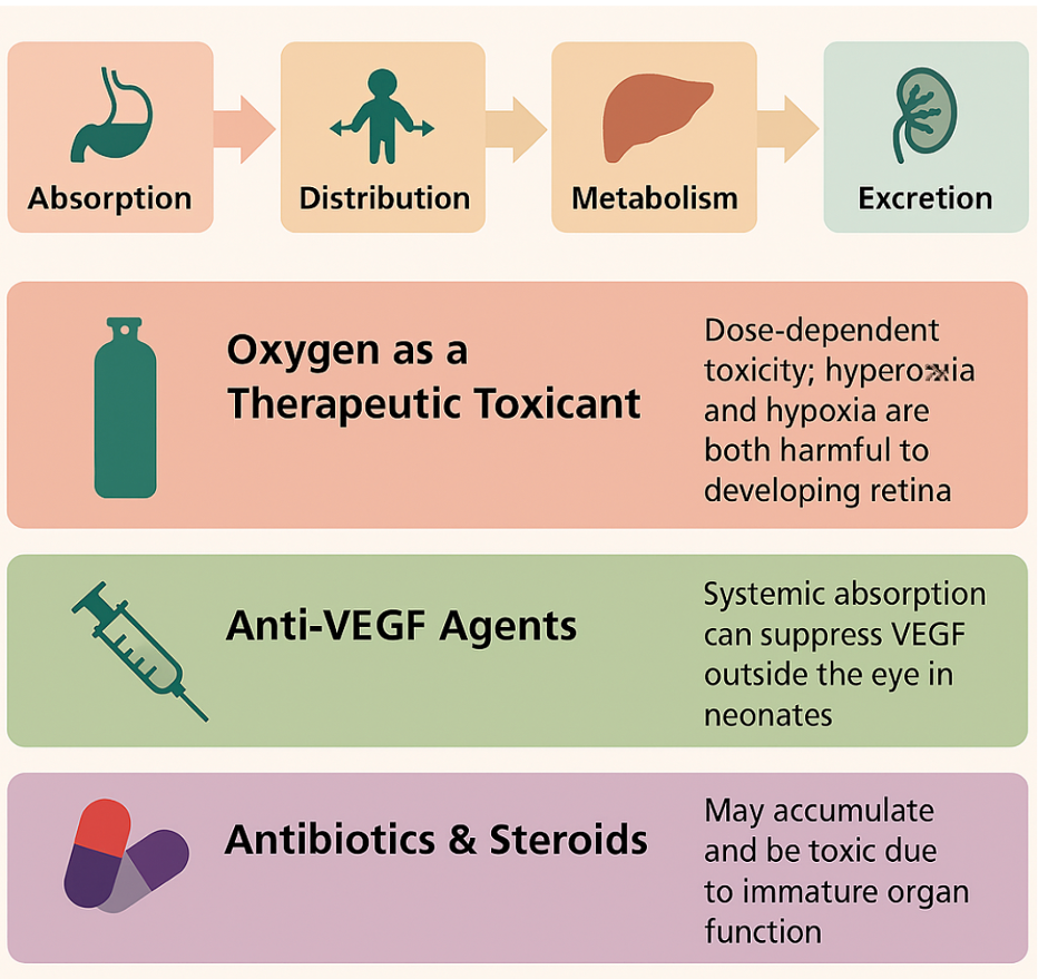 <p>Toxicokinetics of Retinopathy of Prematurity