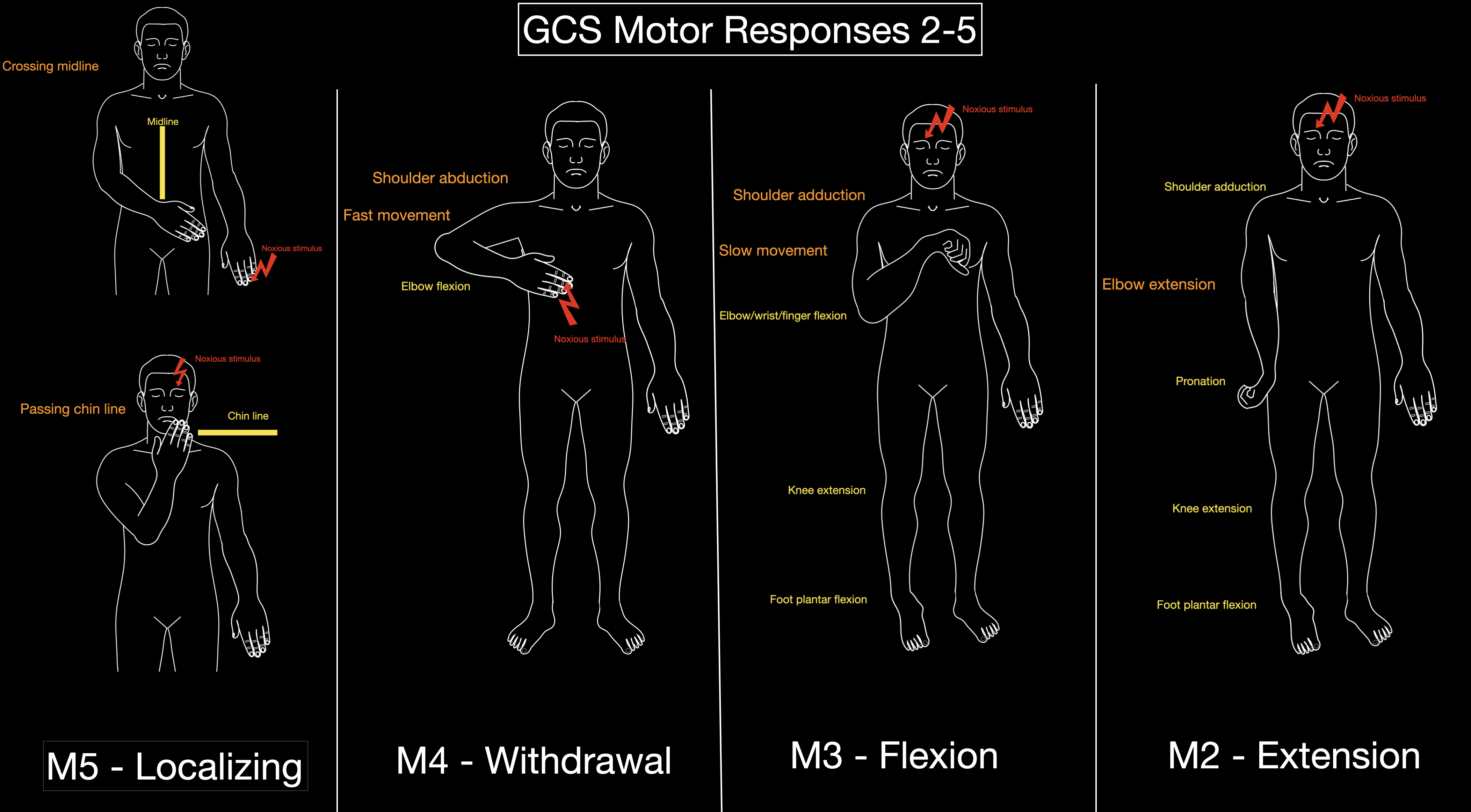 <p>Glasgow Coma Scale Responses