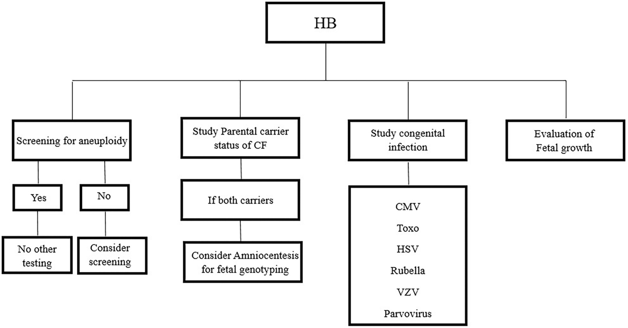 <p>Diagnostic Flowchart of a Fetus With Hyperechogenic Bowel.</p>