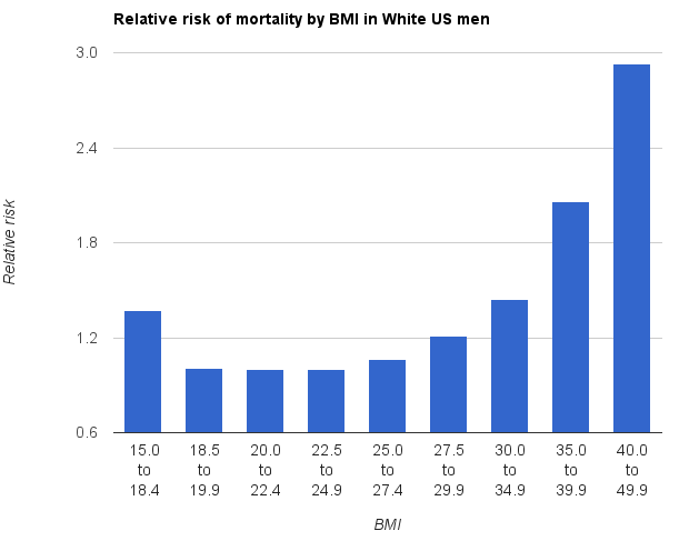 <p>Relative Mortality Risk by Body Mass Index