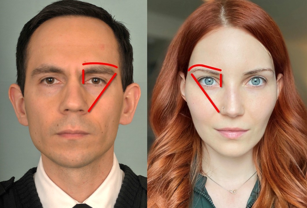 <p>Brow Positions, Female (Right) and Male (Left)