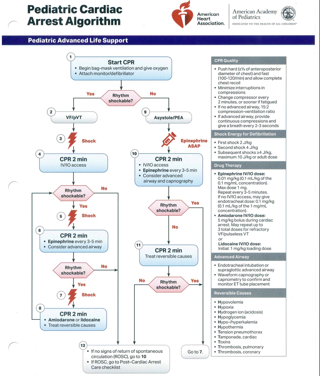 <p>Pediatric Cardiac Arrest Algorithm