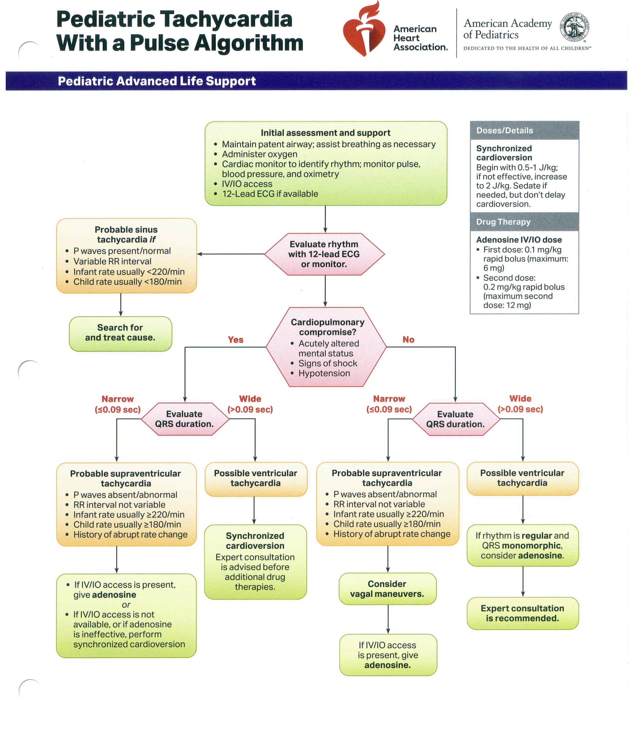 <p>Pediatric Tachycardia with a Pulse Algorithm