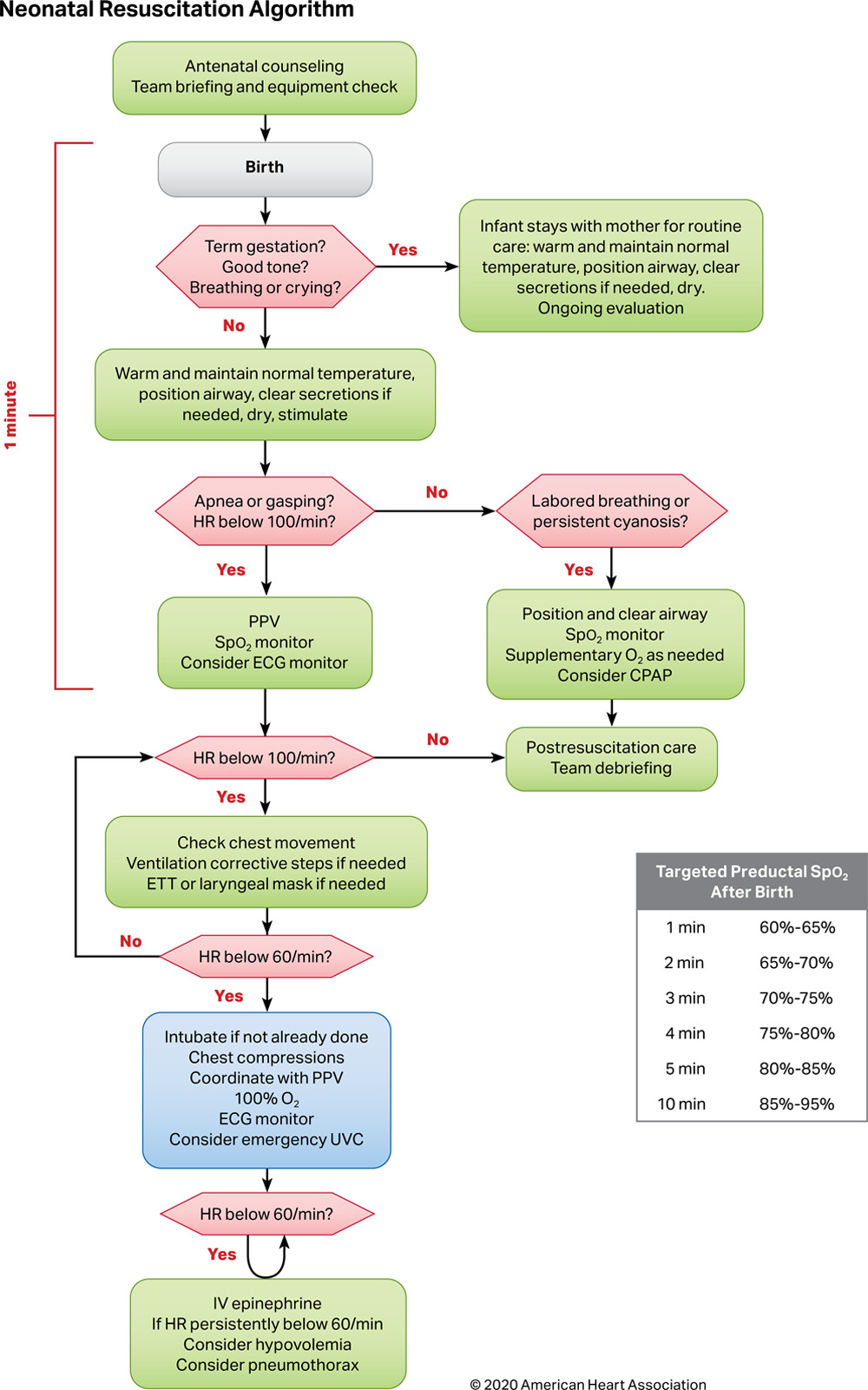 <p>Neonatal Resuscitation Algorithm