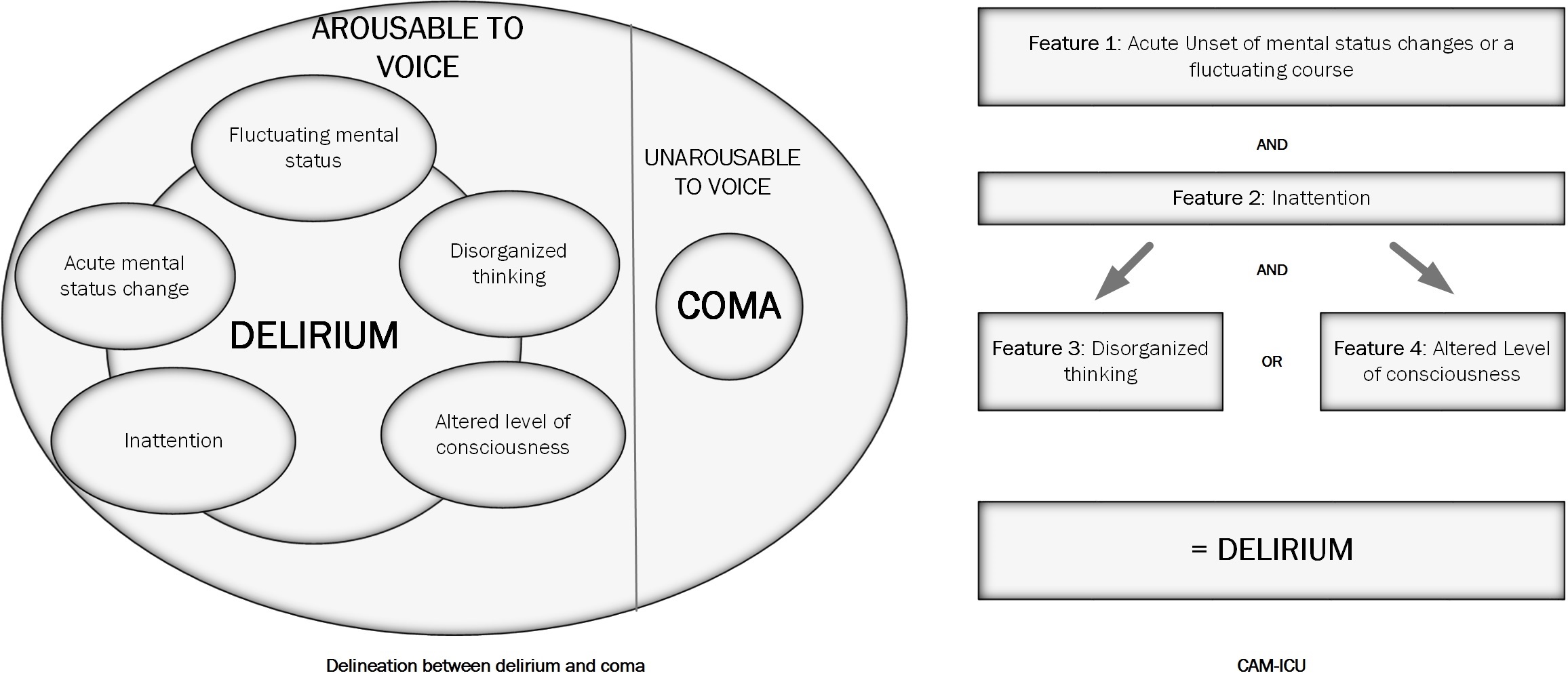 <p>The Confusion Assessment Method for the Intensive Care Unit (CAM-ICU)